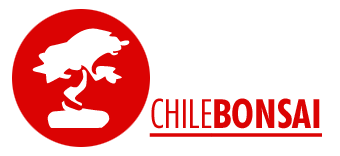 :::CHILEBONSAI:::